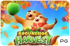 Groundhog-Harvest.webp
